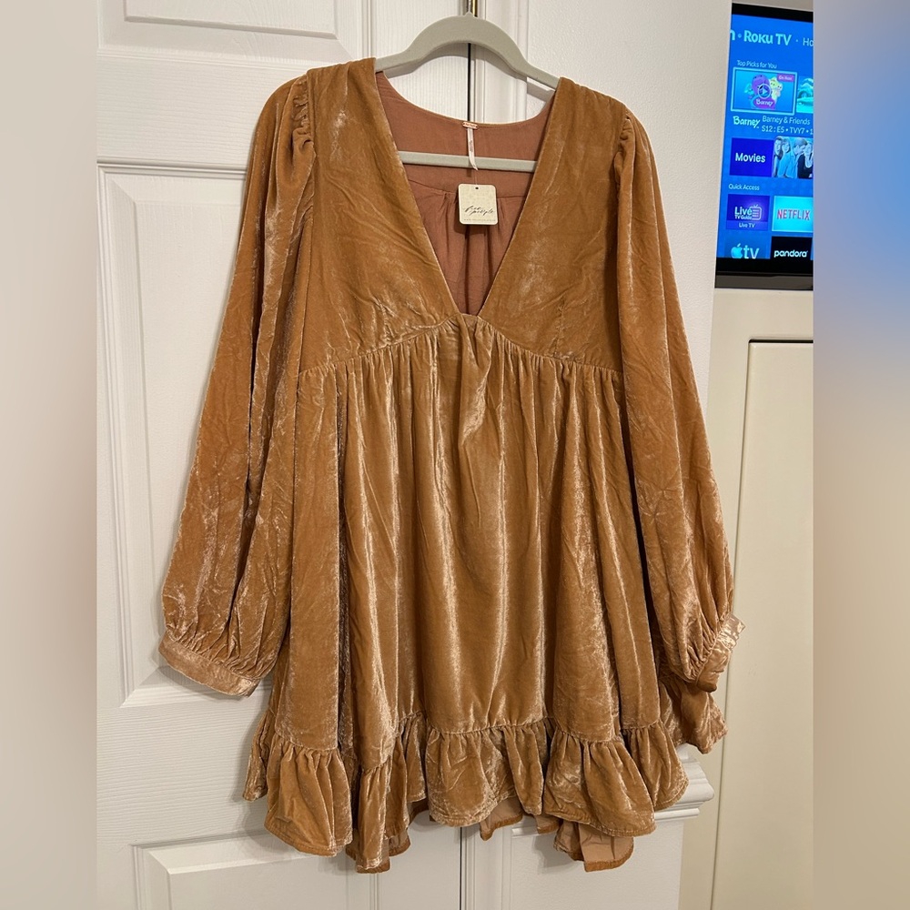 Free People Rose Velvet Dress